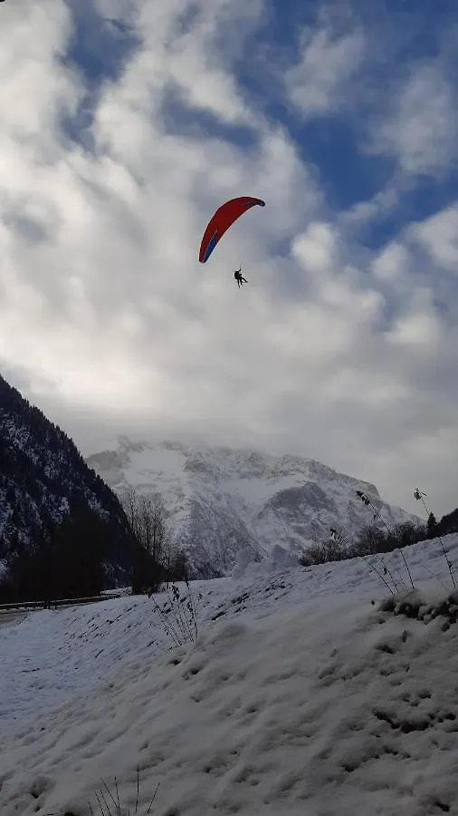 Appartement Vénosc-Les 2 Alpes , Rez de jardin